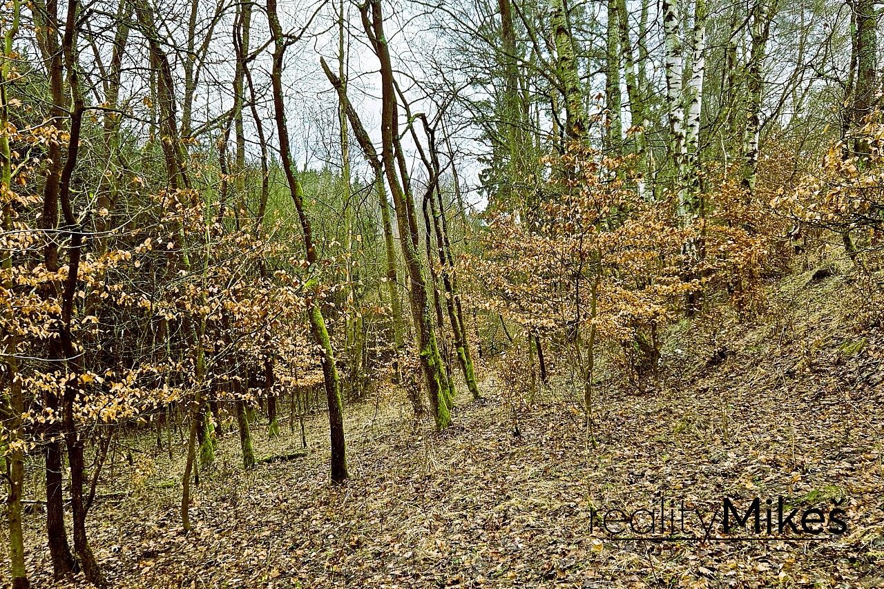 Prodej louka - Sychrov - Radostín, okres Liberec, Liberecký kraj - 5