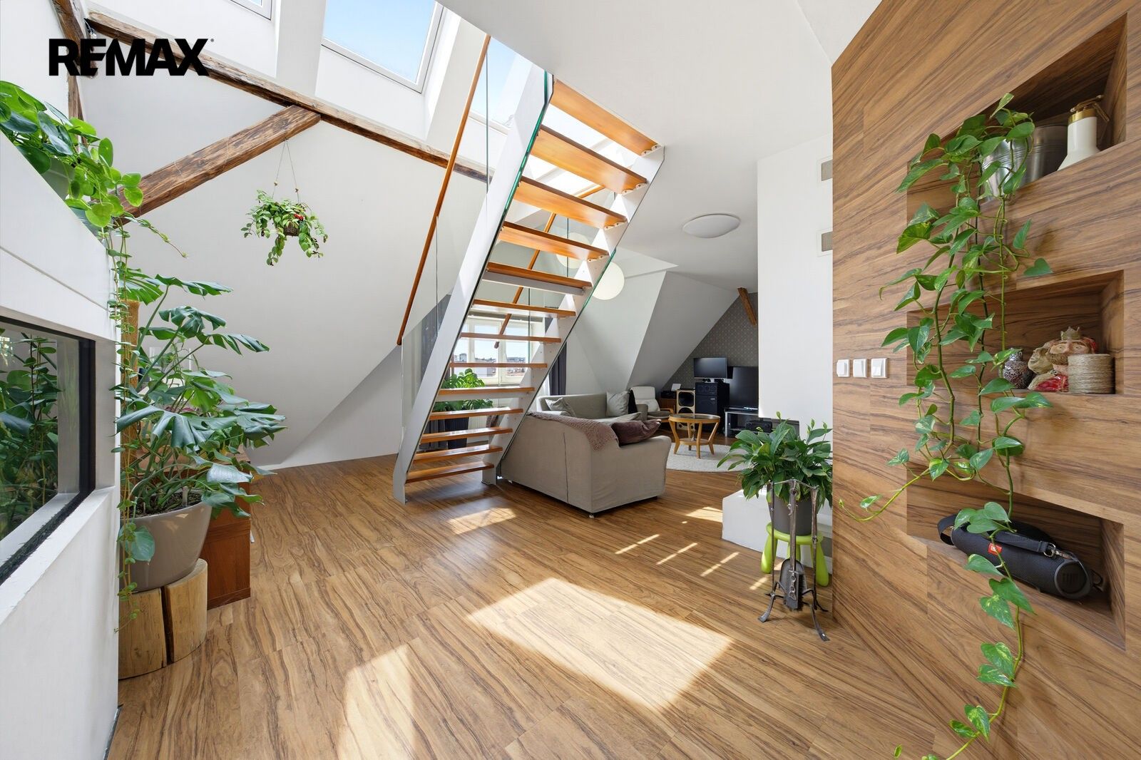 3+1, Fišova 425, Brno Černá Pole, 181 m² - 1