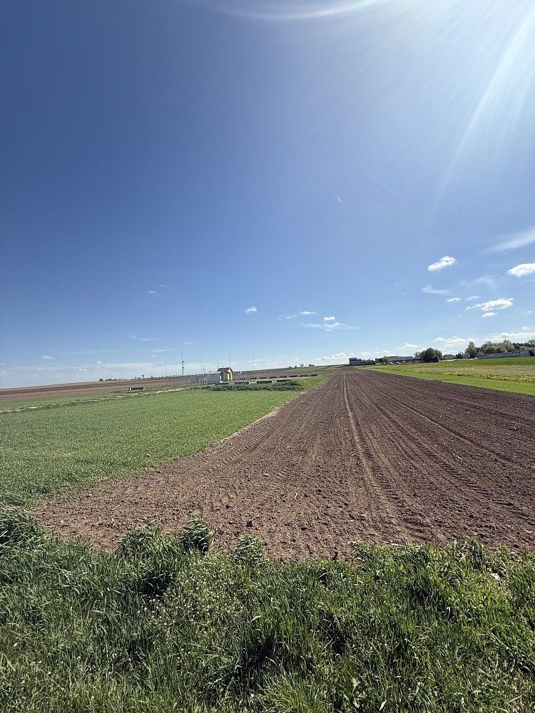 Zemědělské pozemky, Tvrdonice, okres Břeclav, Jihomoravský kraj - 2