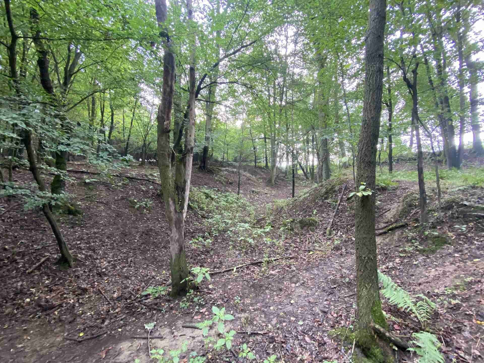 Pozemek · 3 382 m² · Křečovice Nahoruby - 4