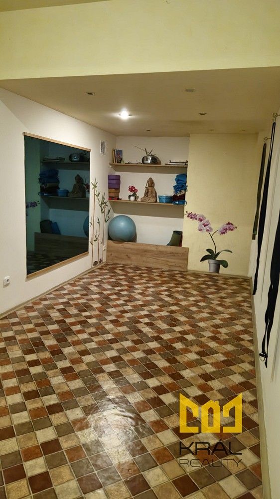 Obchodní prostory, Praha - Žižkov, okres Praha 3, Hlavní město Praha, 15 m² - 2