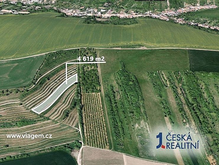 Prodej zemědělský pozemek - Lovčičky, okres Vyškov, Jihomoravský kraj - 2