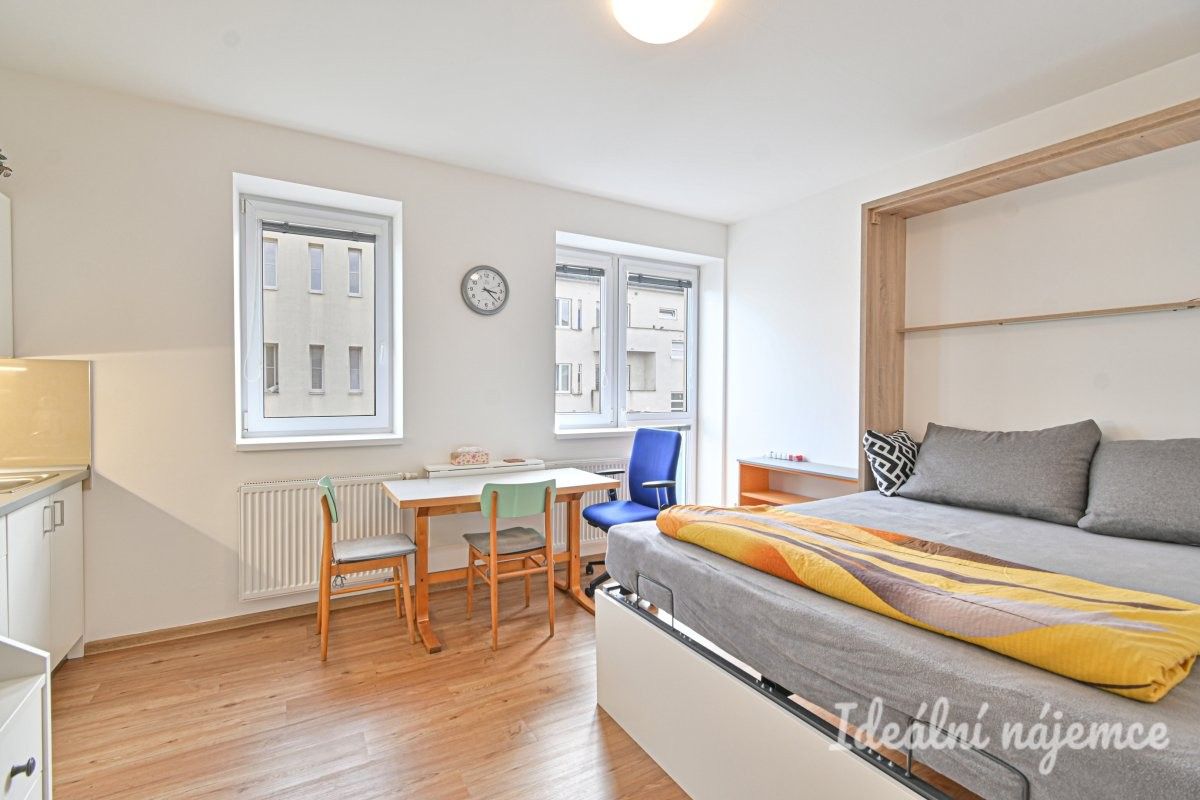 1+kk, Hostinského, Brno, 25 m² - 1