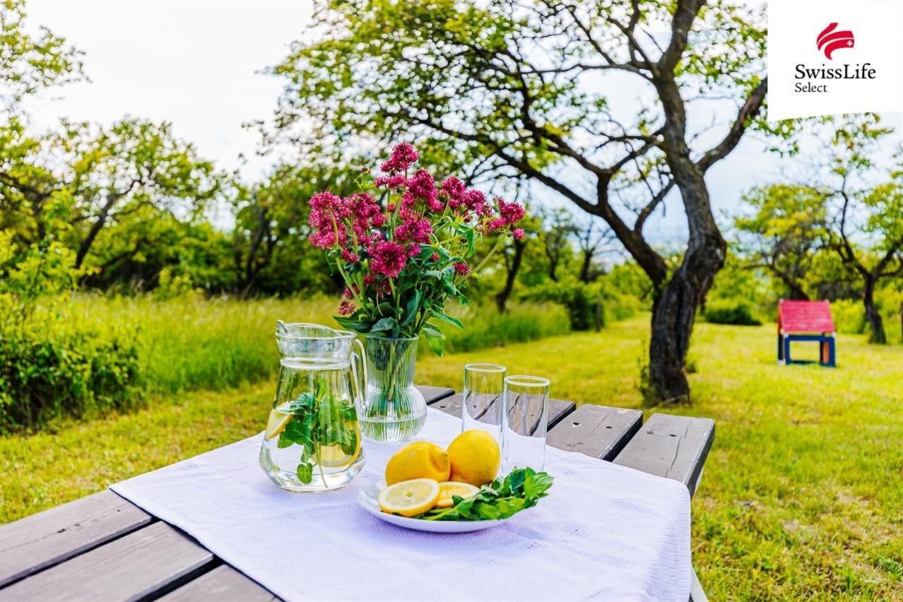 Prodej komerční pozemek - Židlochovice