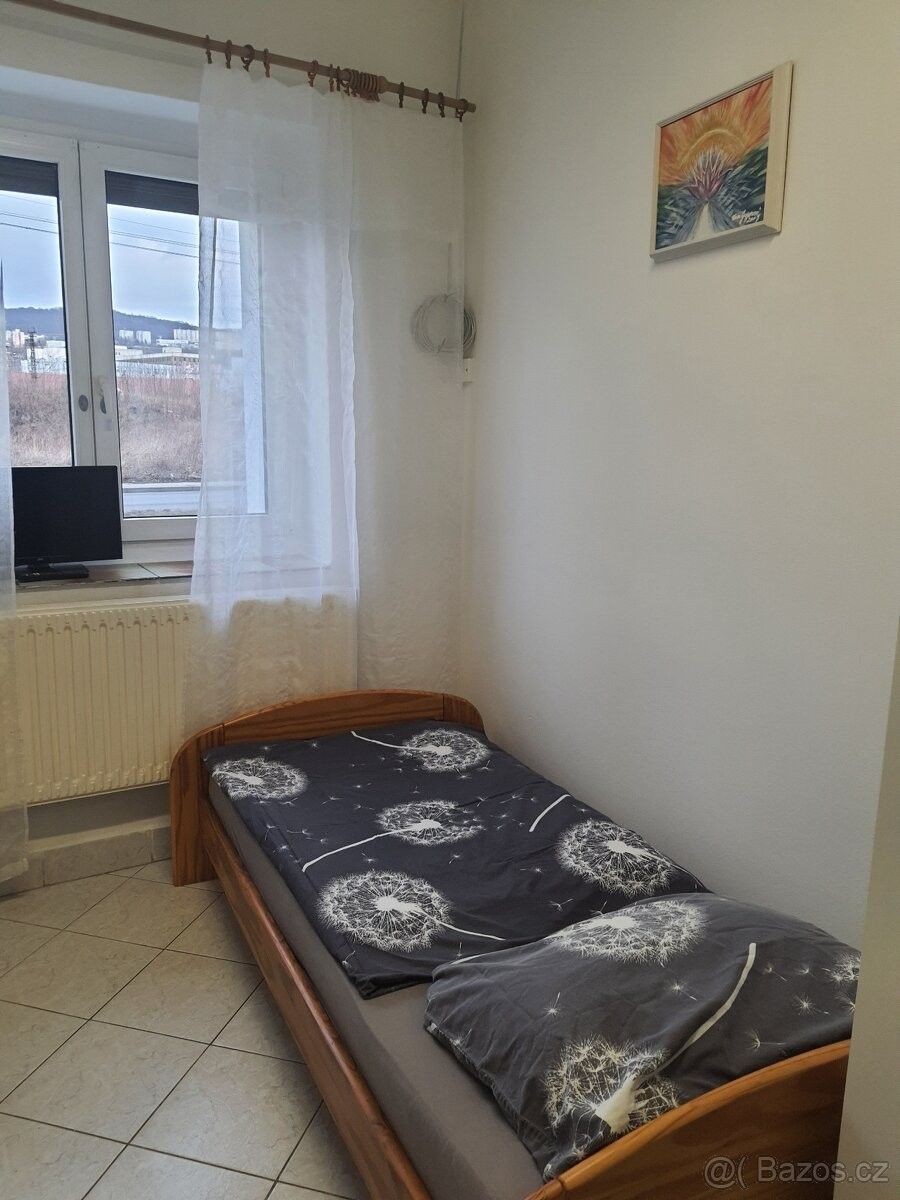 Pronájem ostatní - Ústí nad Labem, 400 01 - 5