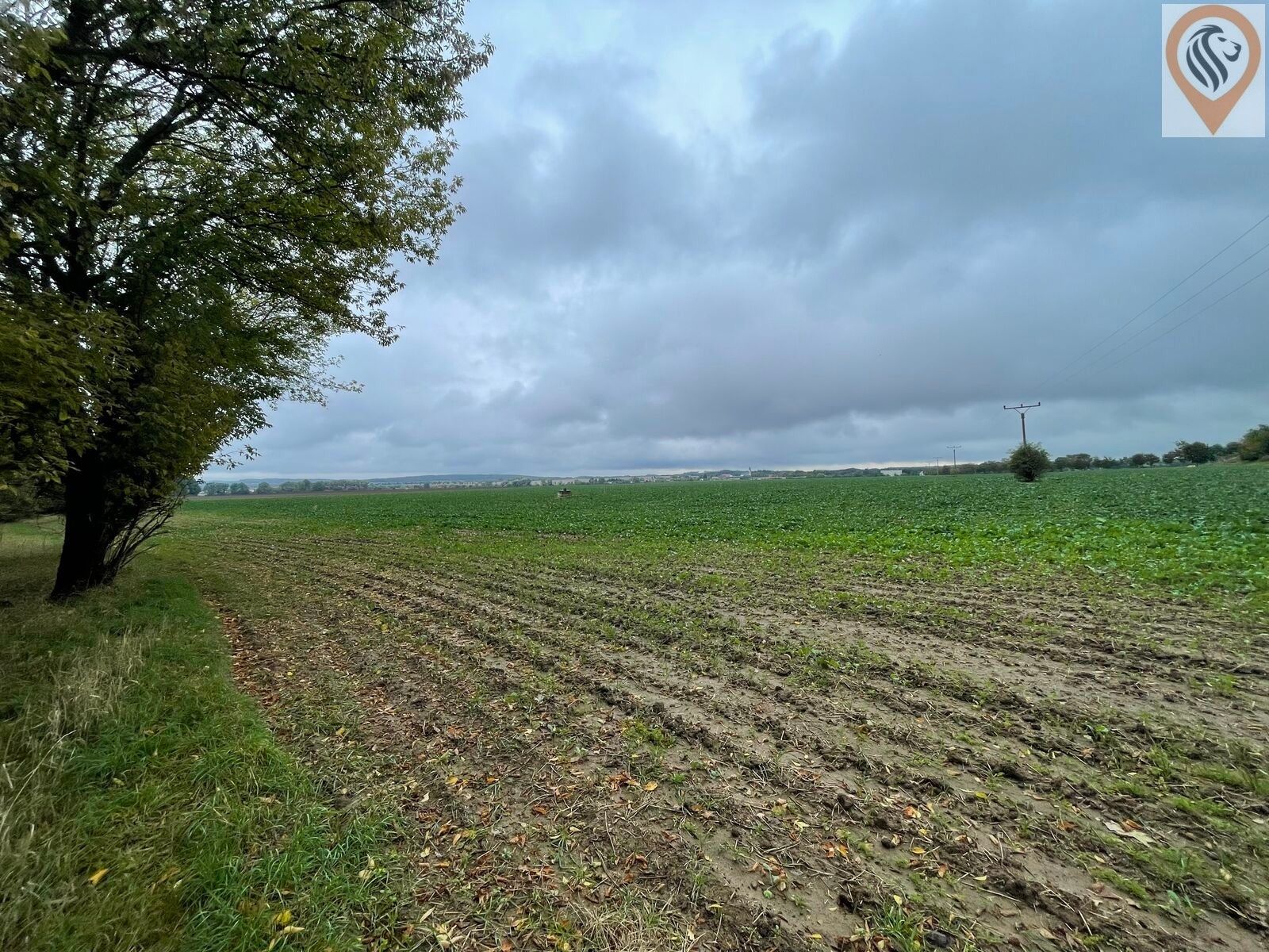 Prodej zemědělský pozemek - Úhonice, 7 001 m² - 5