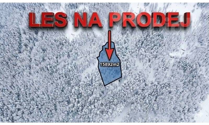 Lesy, Bohdalovice, Velké Hamry