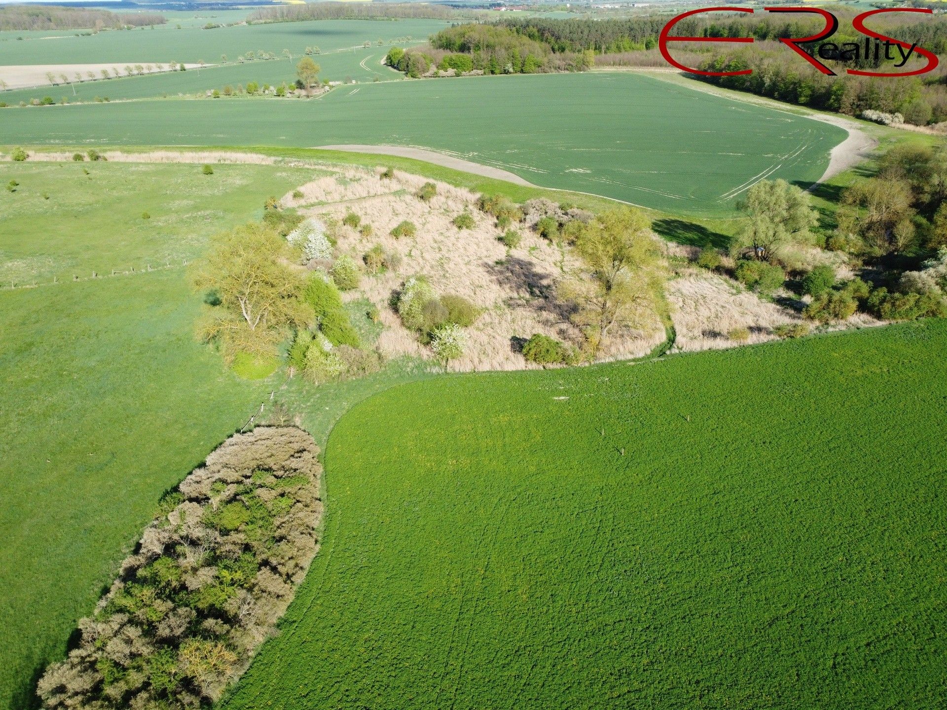 Prodej louka - Městec Králové