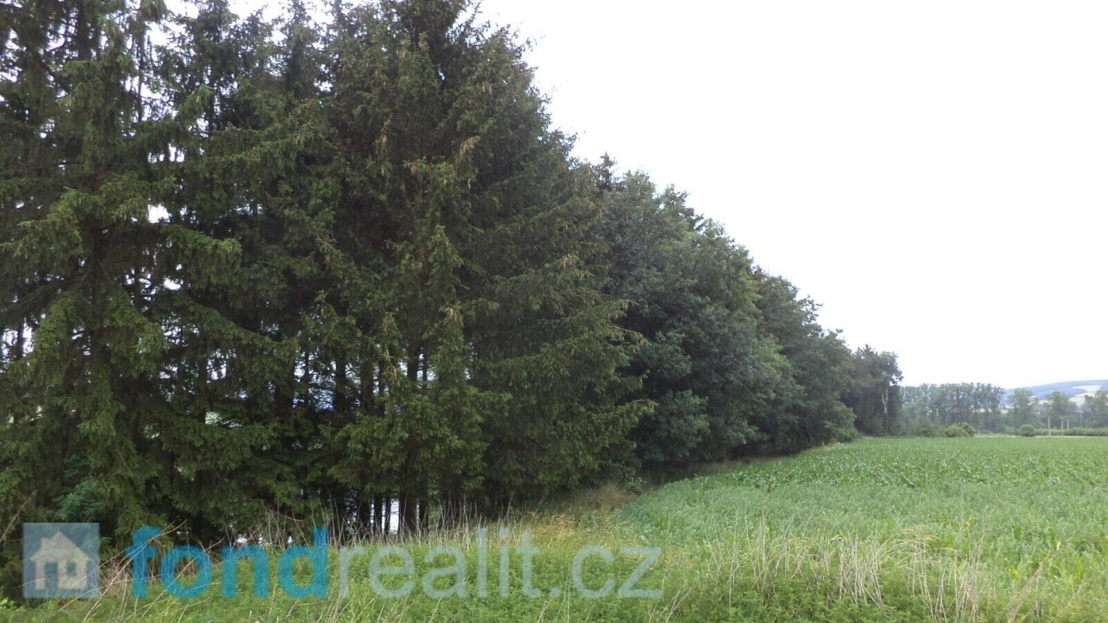 Prodej pozemek - Třebařov, 4 992 m² - 5