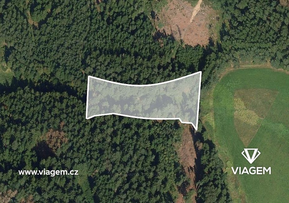 Prodej les - Studnice, okres Chrudim, Pardubický kraj - 2