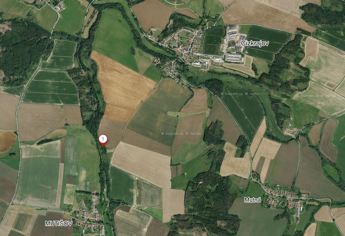 Prodej zemědělský pozemek - Mutišov, Slavonice, 1 067 m²