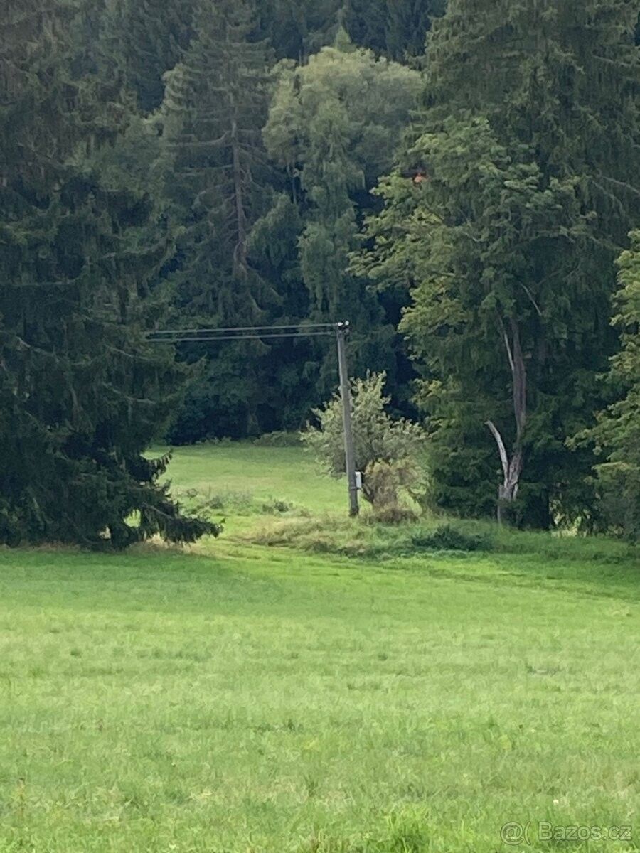 Prodej pozemek pro bydlení - Zdíkov, 384 72