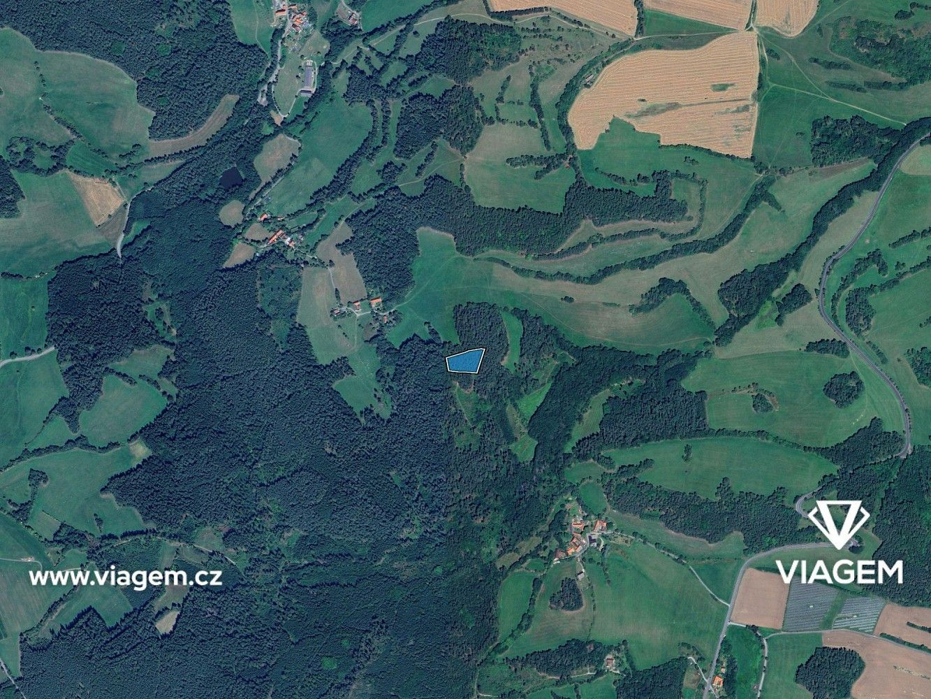 Les · Volyně, okres Strakonice, Jihočeský kraj - 3