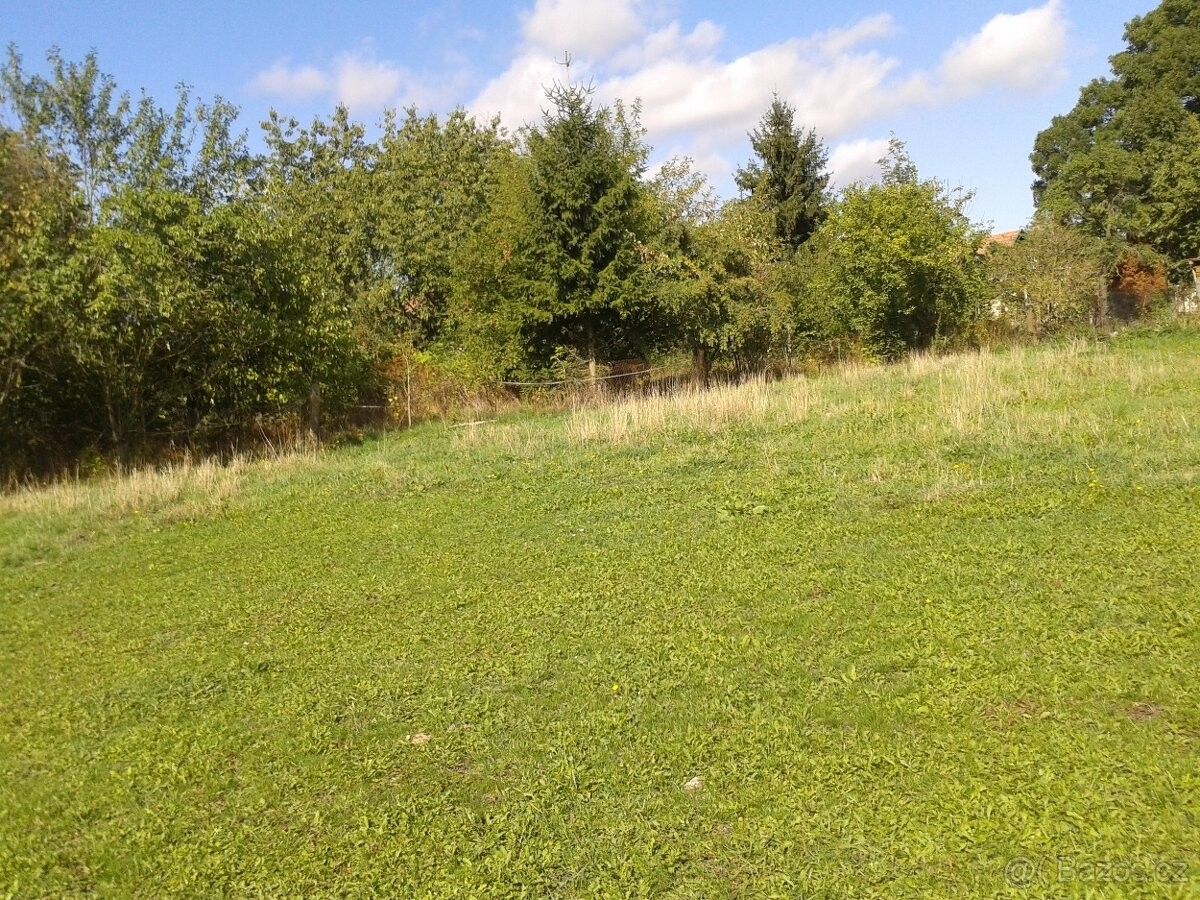 Pronájem zahrada - Poděbrady, 290 01 - 5