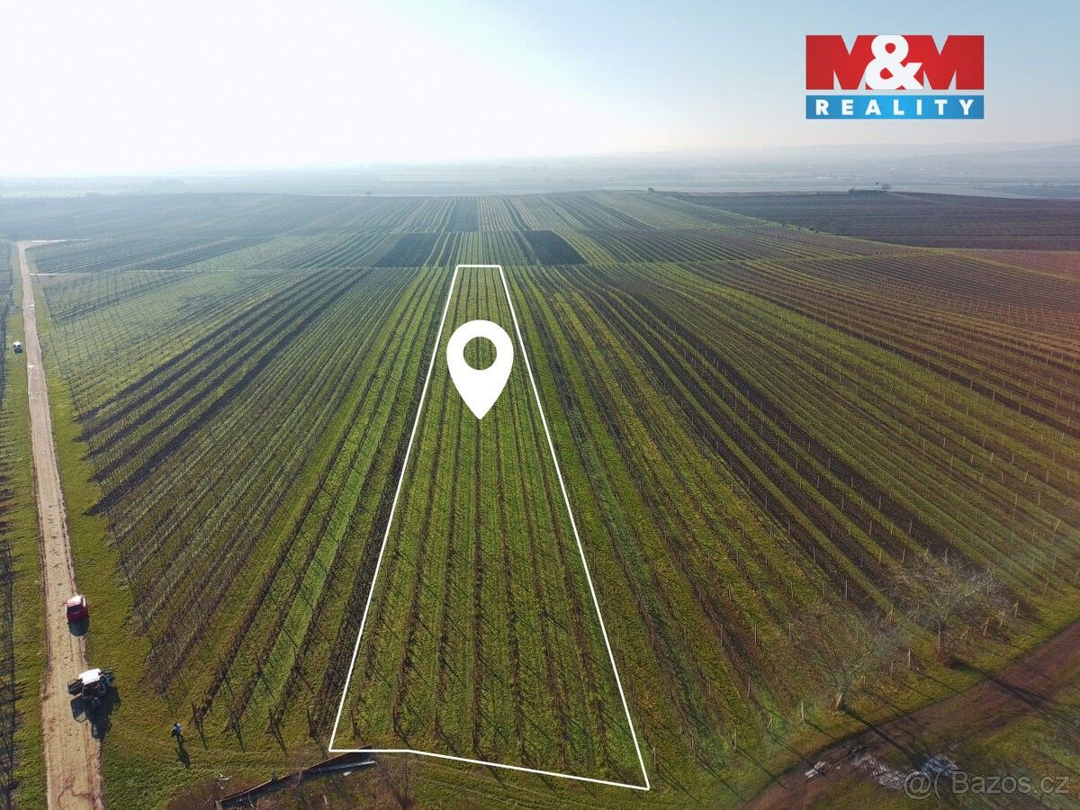 Prodej pozemek pro bydlení - Velké Bílovice, 691 02