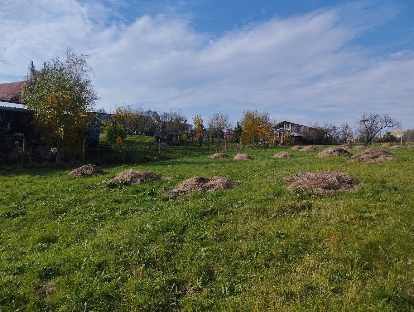 Pozemek pro bydlení · Holubice, okres Vyškov, Jihomoravský kraj - 3