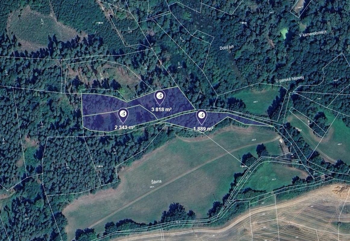 Prodej les - Maňovice - 2