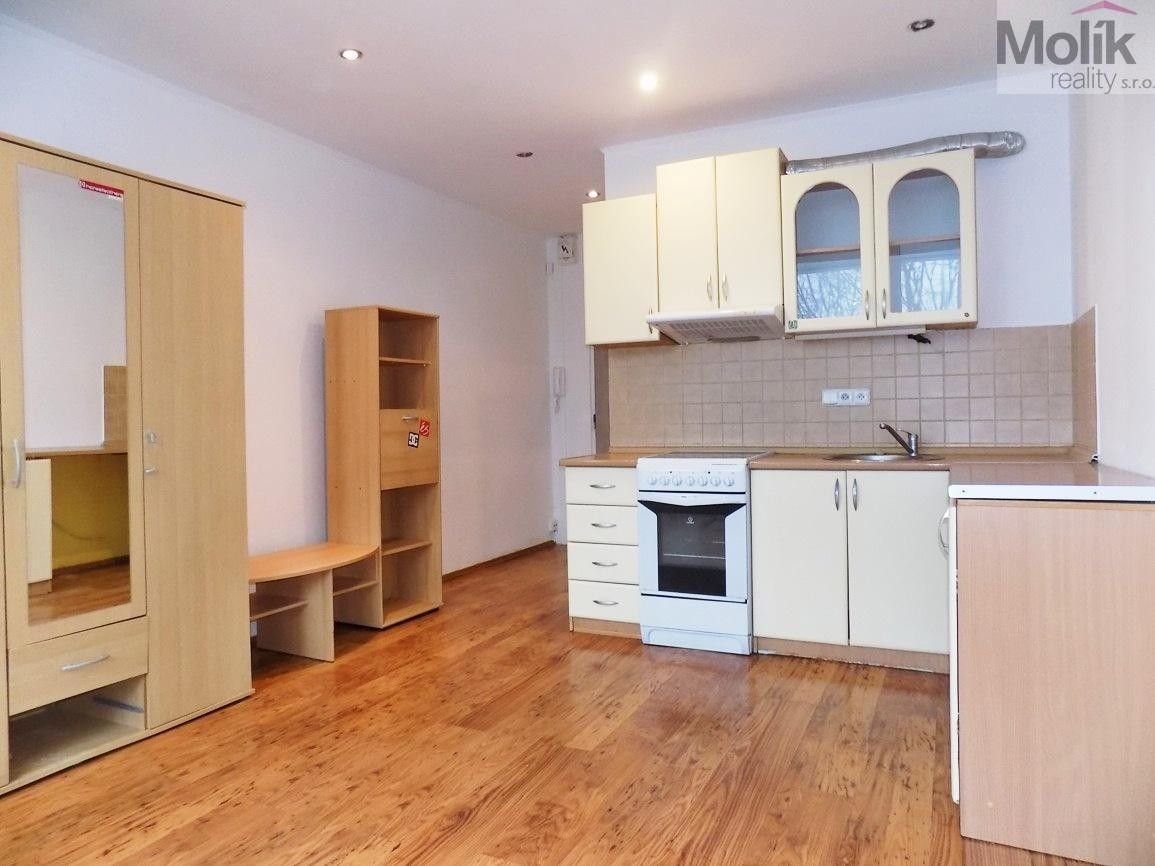 1+kk, Hoření, Ústí nad Labem, 21 m²