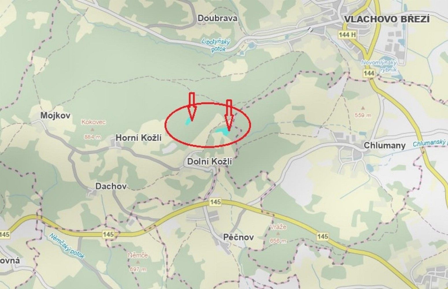Les · Pěčnov - Dolní Chřibská, okres Prachatice, Jihočeský kraj - 3