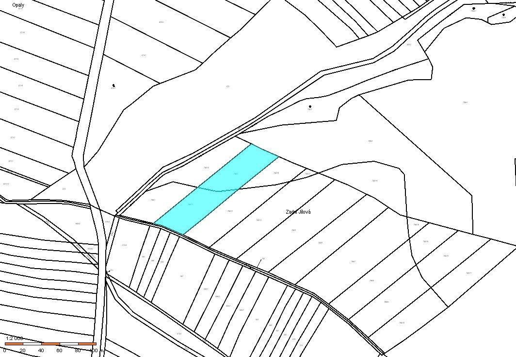 Prodej zemědělský pozemek - Honětice