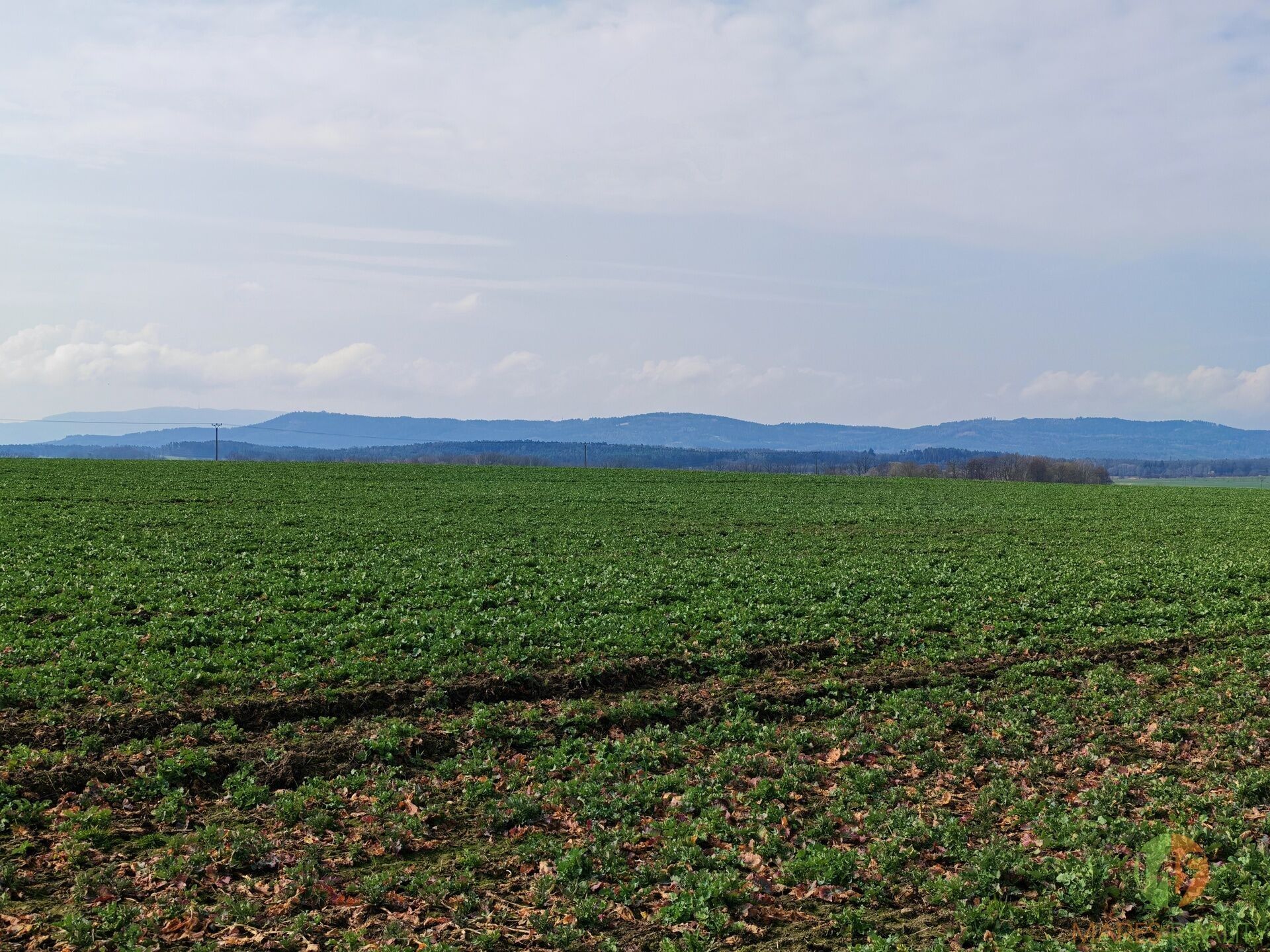 Pozemek pro bydlení · 1 971 m² · Branišov - 3