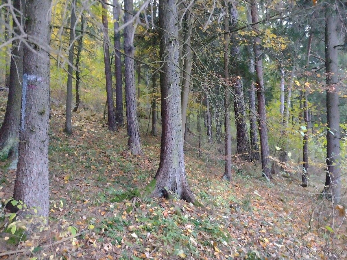 Prodej pozemek pro bydlení - Budětice, 342 01