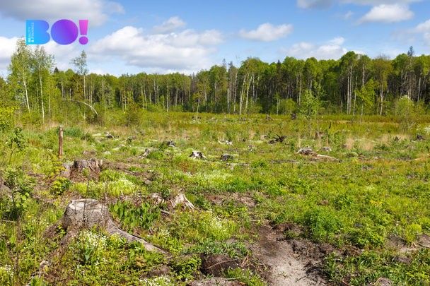 Pozemky pro bydlení, Pražmo, 739 04