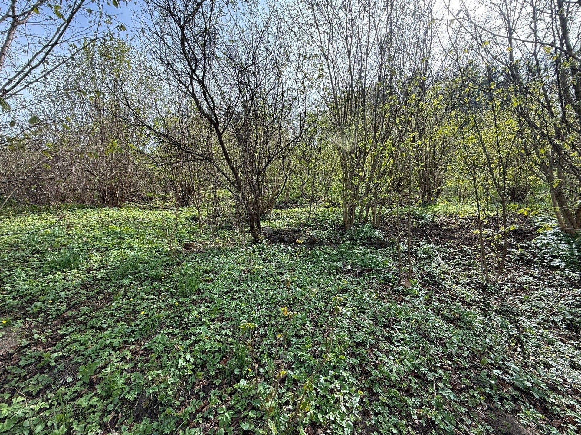 Prodej pozemek pro bydlení - Bušín - 5