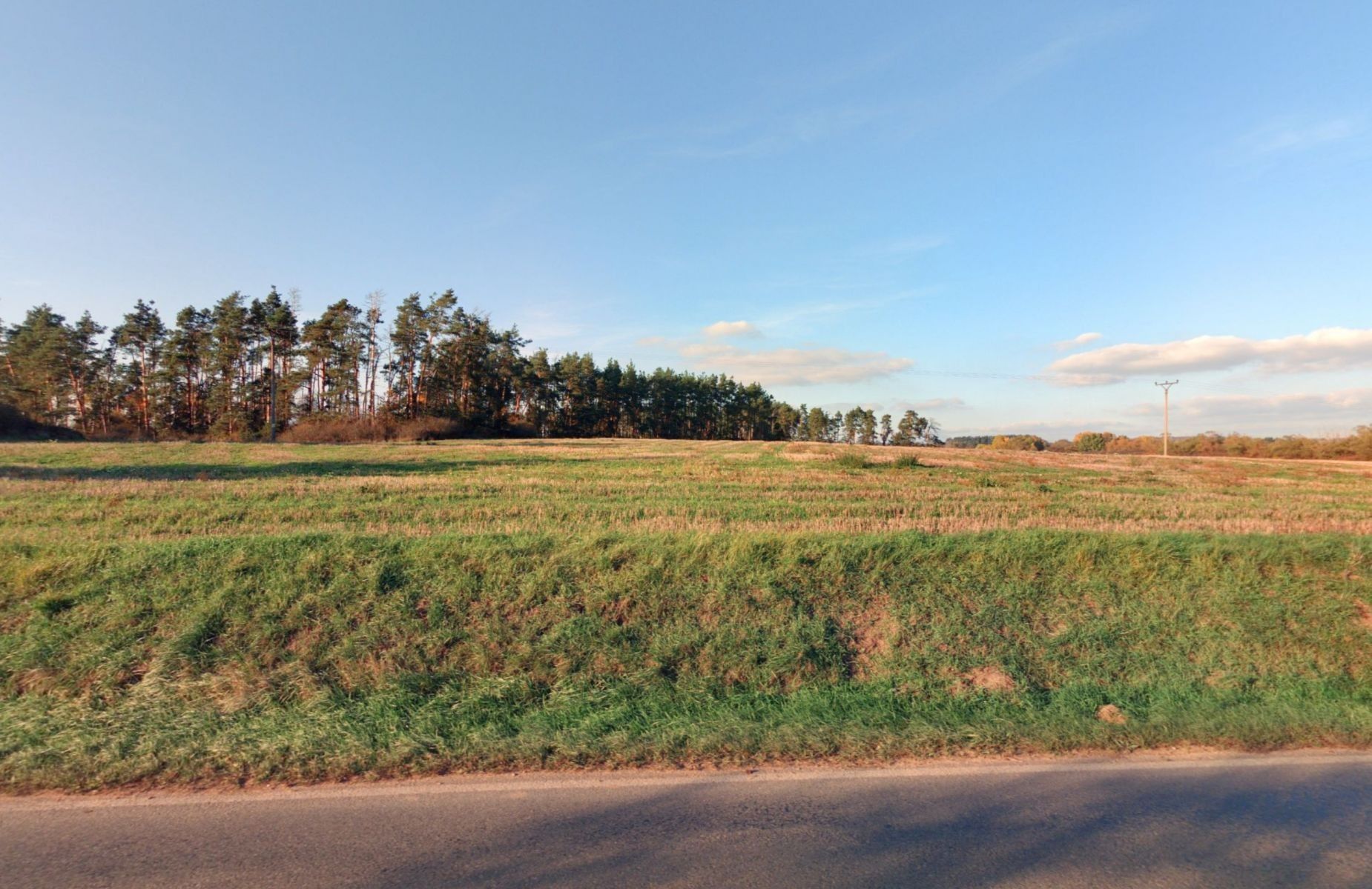 Zemědělské pozemky, Velký Bor - 2