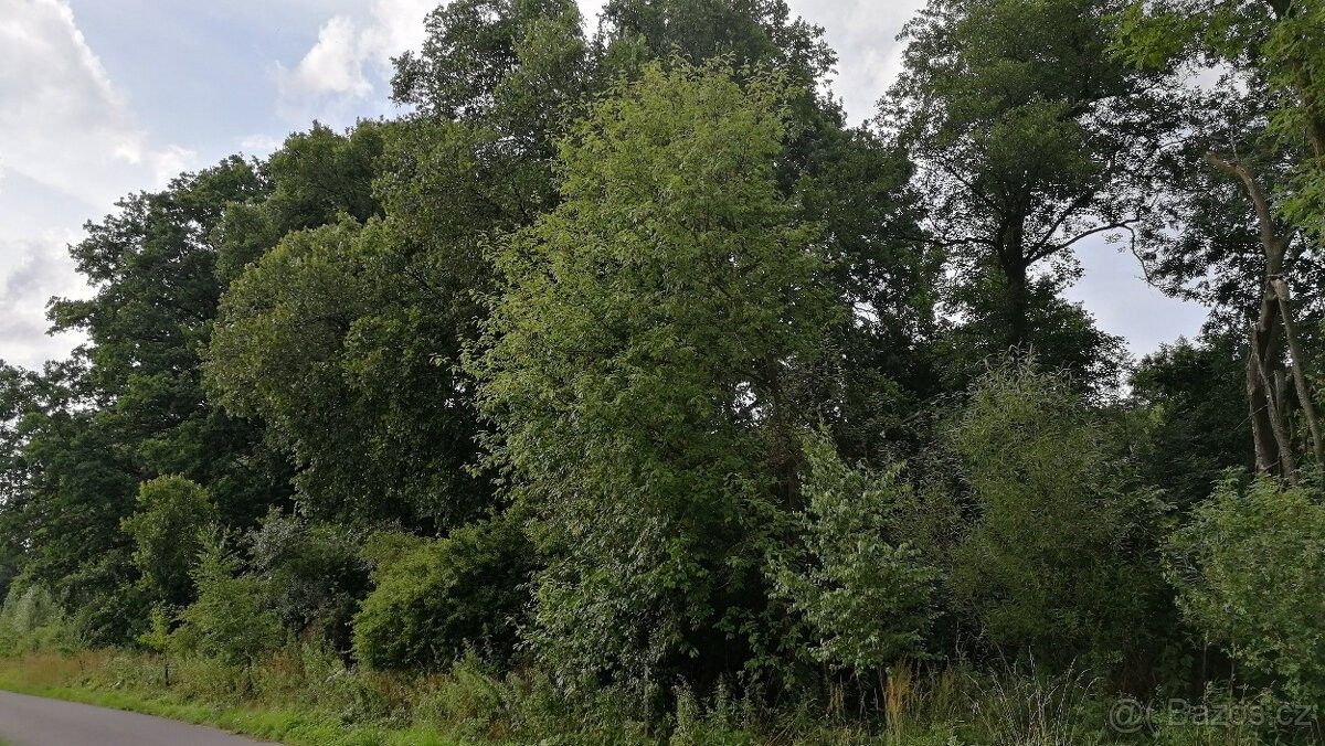 Prodej pozemek pro bydlení - Studénka, 742 13