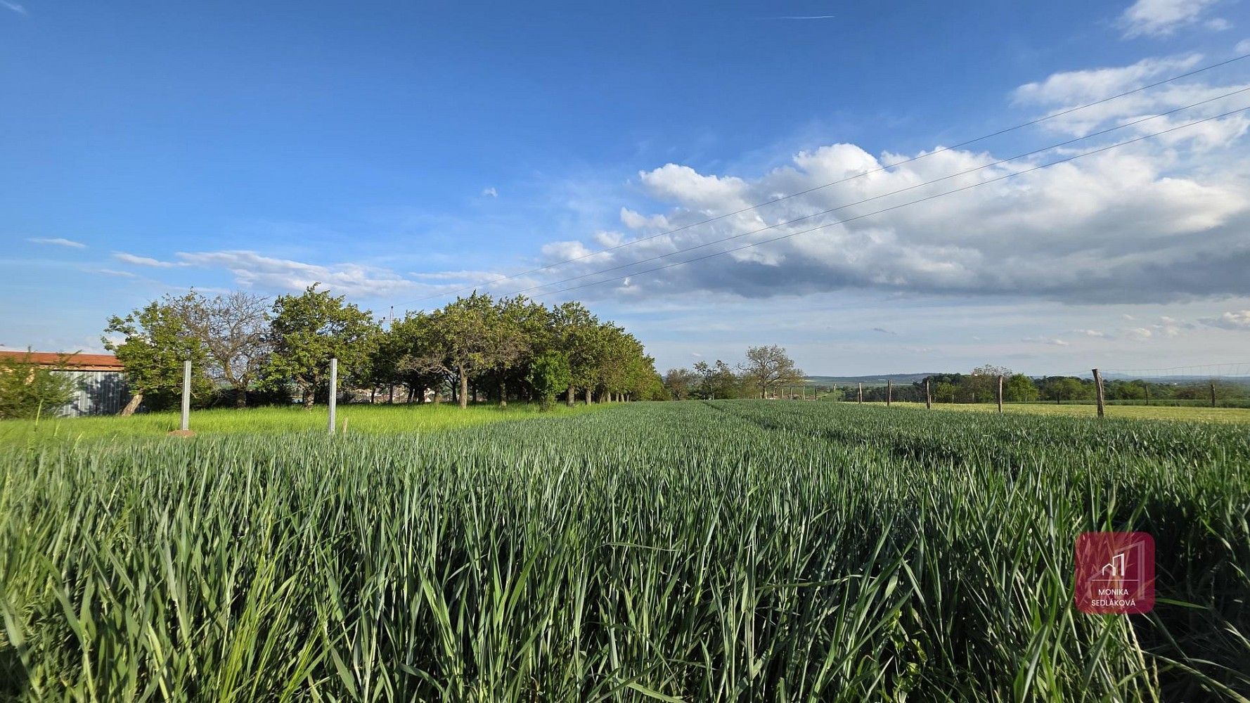 Prodej zemědělský pozemek - Tvarožná, okres Brno-venkov, Jihomoravský kraj - 5