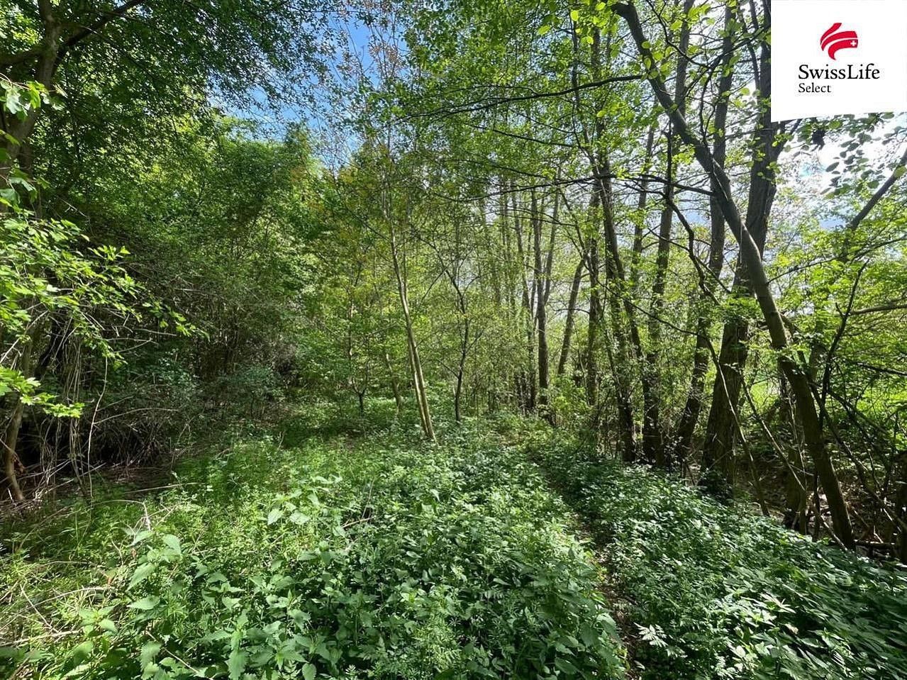 Les, 6 071 m²