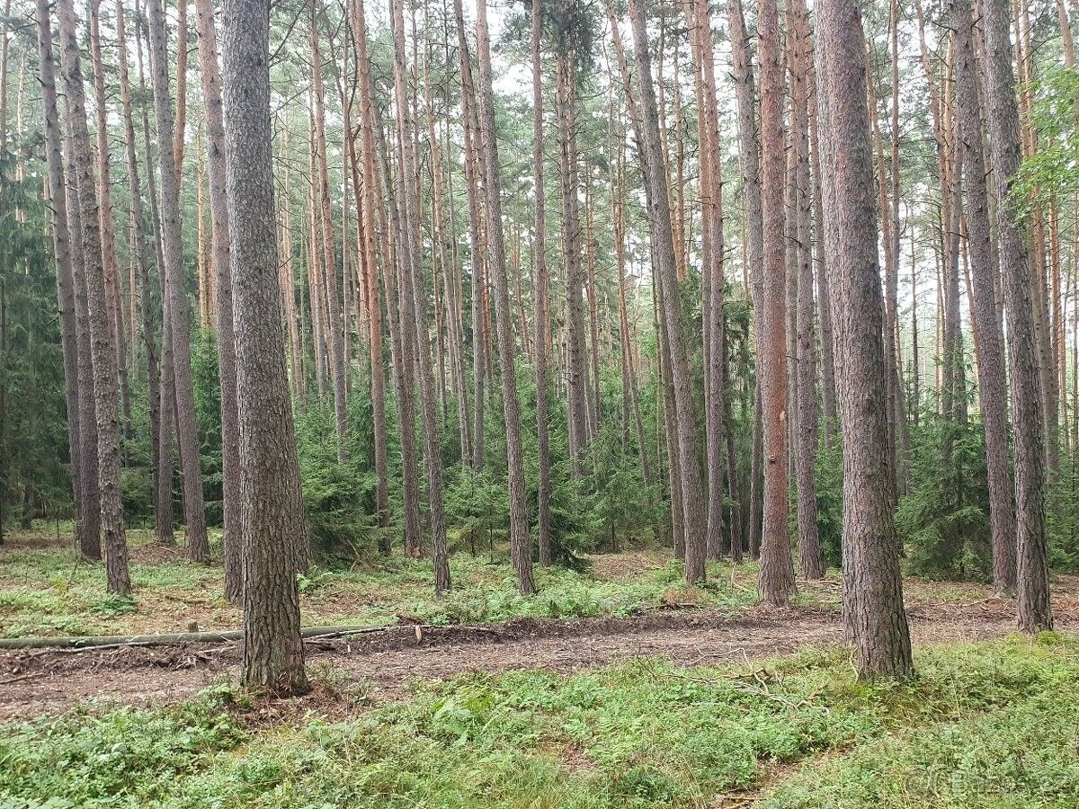 Ostatní, Domažlice, 344 01