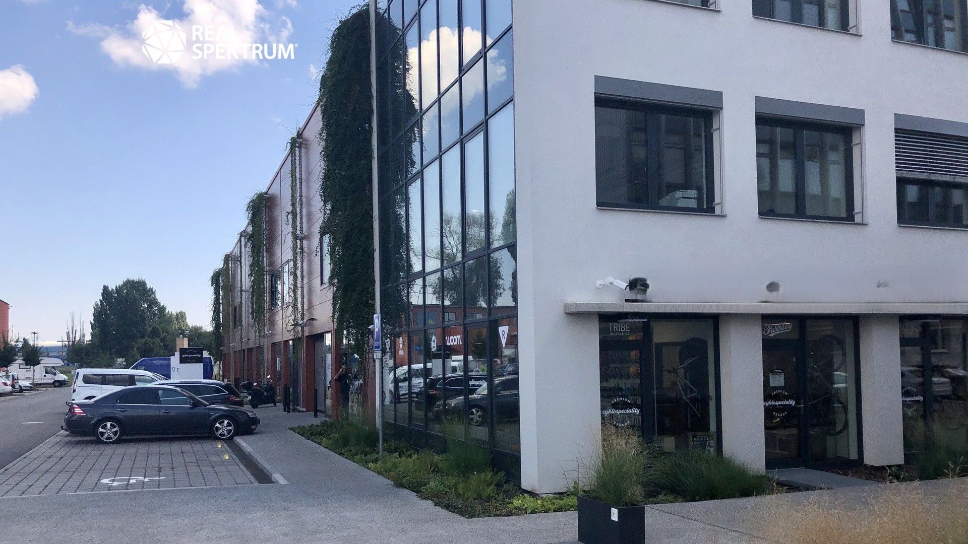 Obchodní prostory, Svatopetrská, Brno, 125 m²