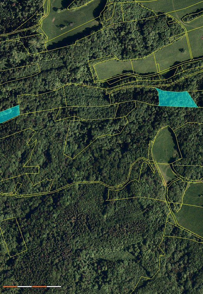Les · Ženklava, okres Nový Jičín, Moravskoslezský kraj - 4