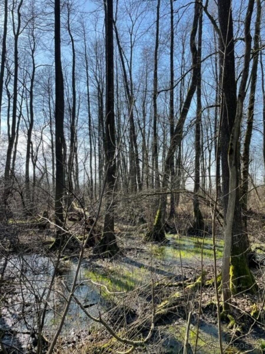 Prodej pozemek pro bydlení - Jaroměř, 551 01