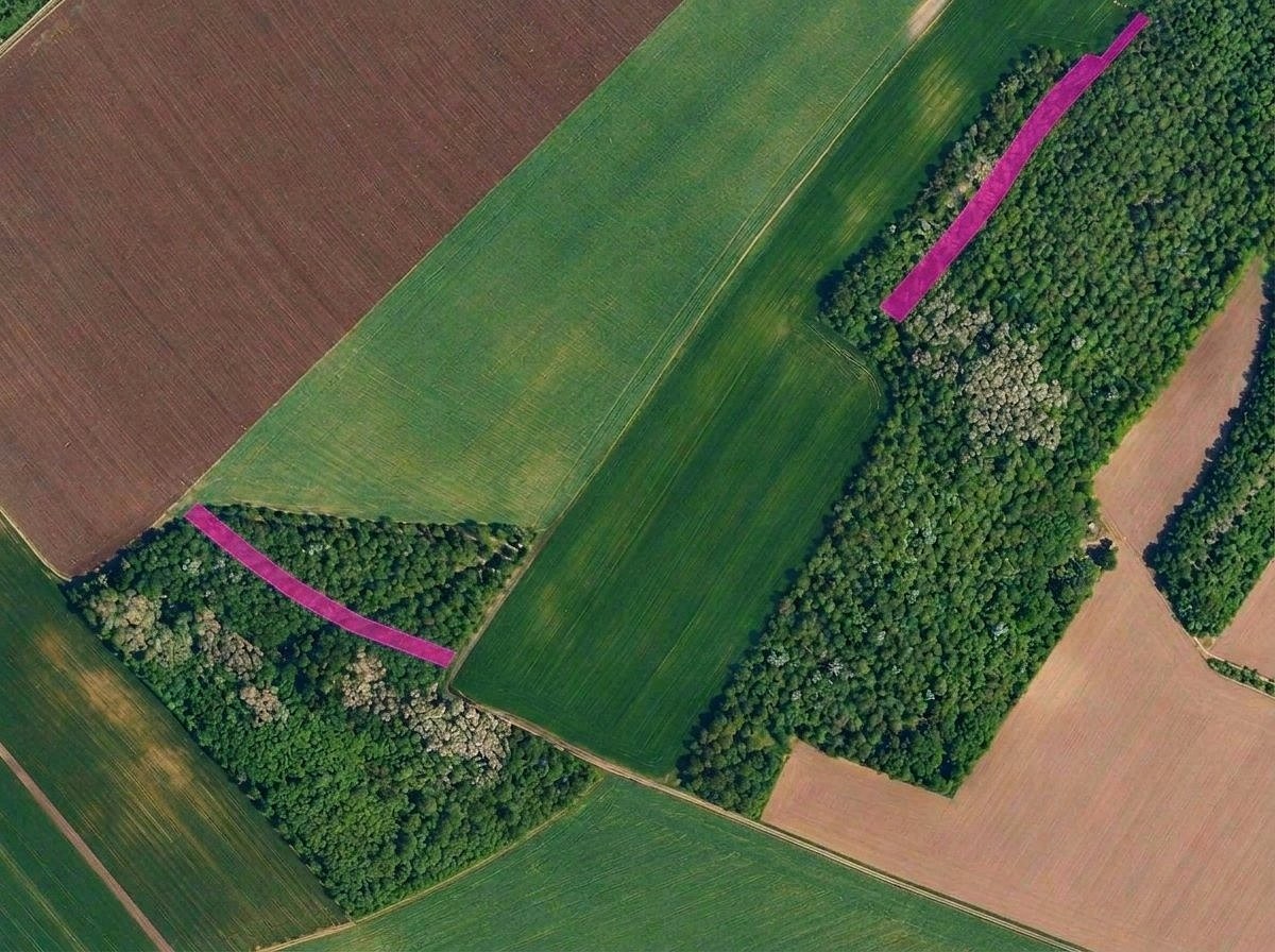 Prodej zemědělský pozemek - Klobouky u Brna, okres Břeclav - 5
