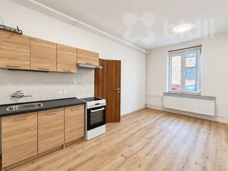 1+1, J. E. Purkyně 1512, Nový Bydžov, 44 m² - 1