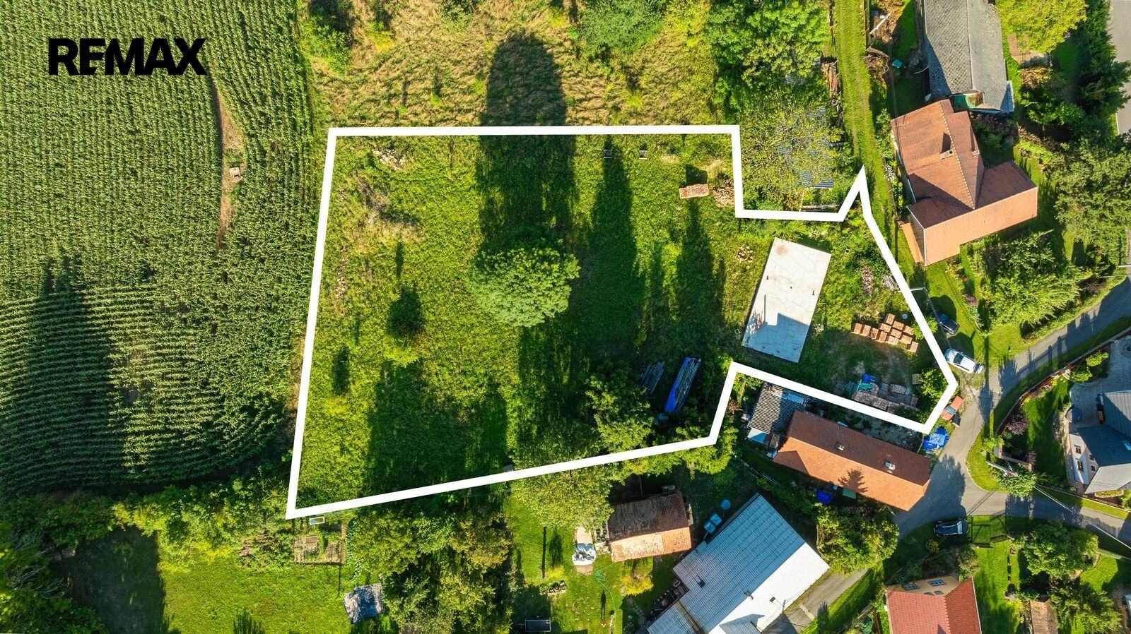 Prodej pozemek pro bydlení - Bačalky, 2 594 m² - 5