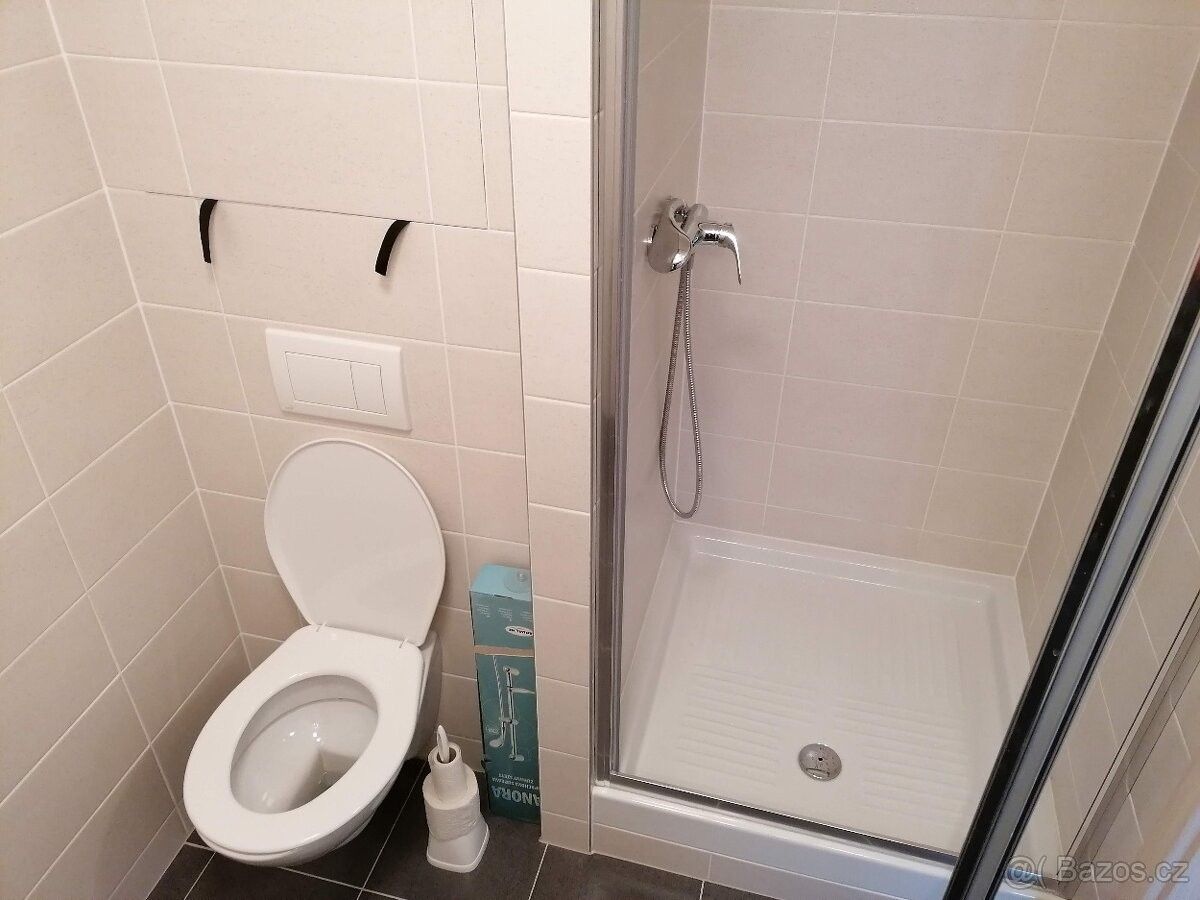 Pronájem byt - Plzeň, 323 00