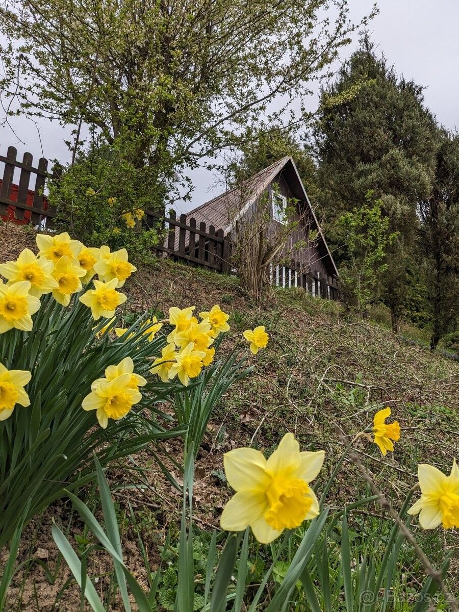 Pronájem zahrada - Dolní Zálezly, 403 01