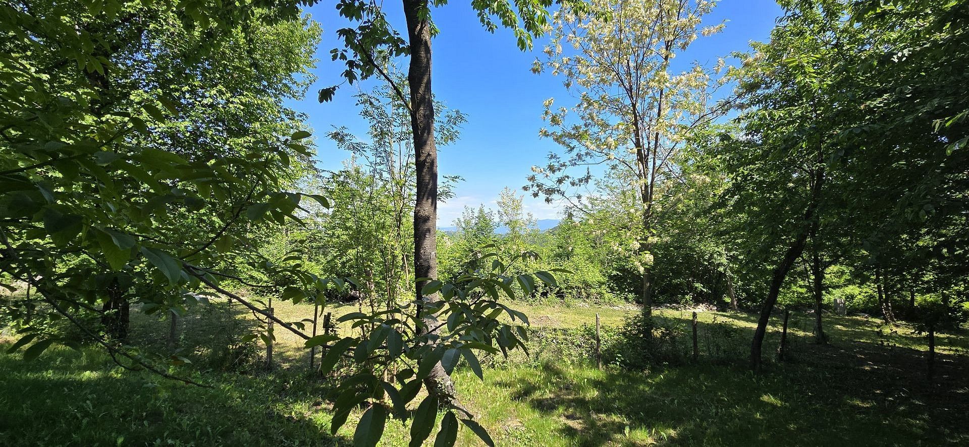 Prodej pozemek pro bydlení - Pazin, HR - 5
