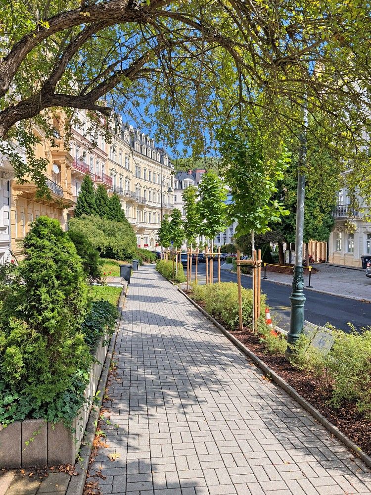 Byt 3+kk · 95 m² · Karlovy Vary, Karlovarský kraj - 3