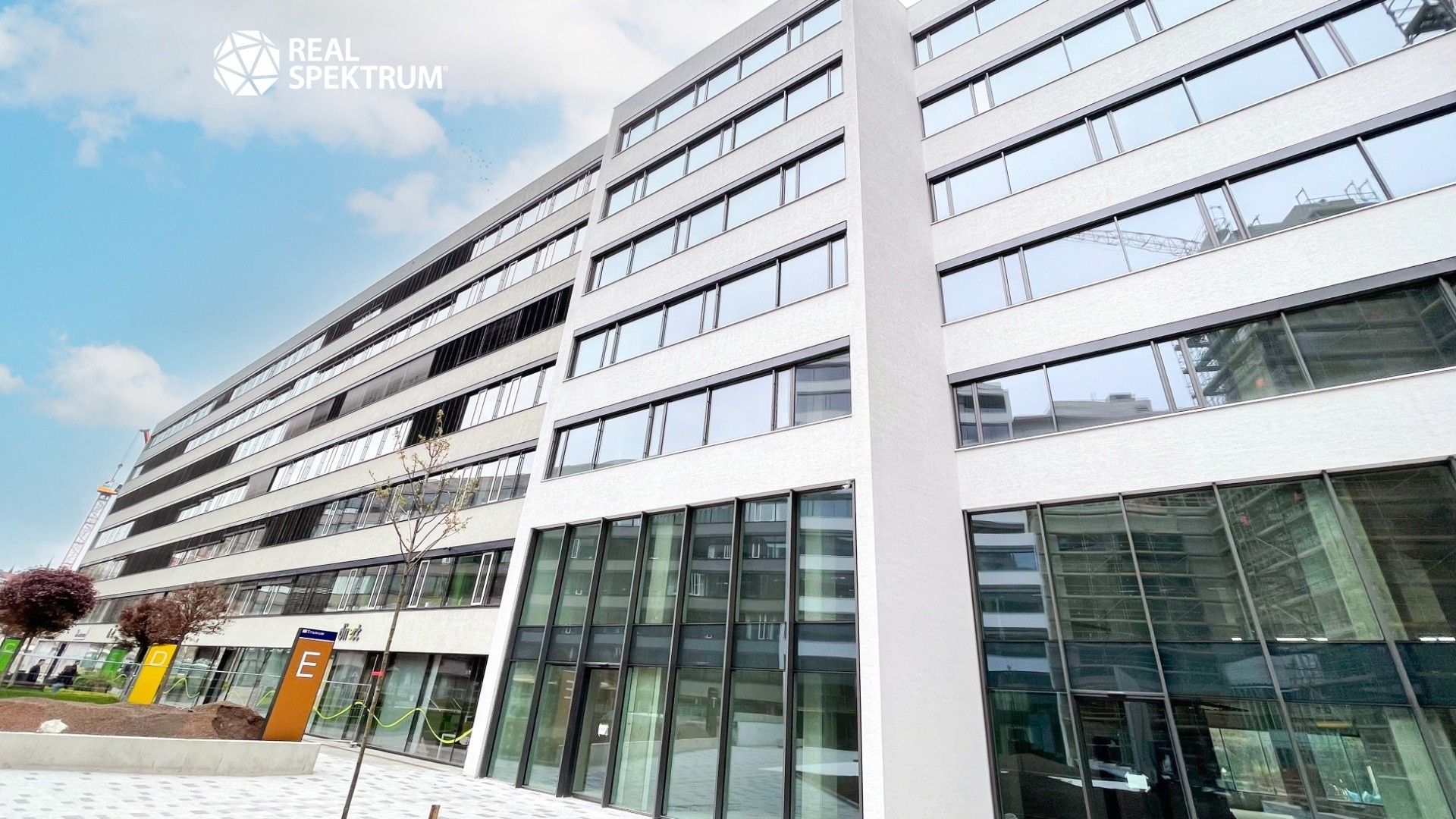 Pronájem kancelář - Nové sady, Brno, 290 m²