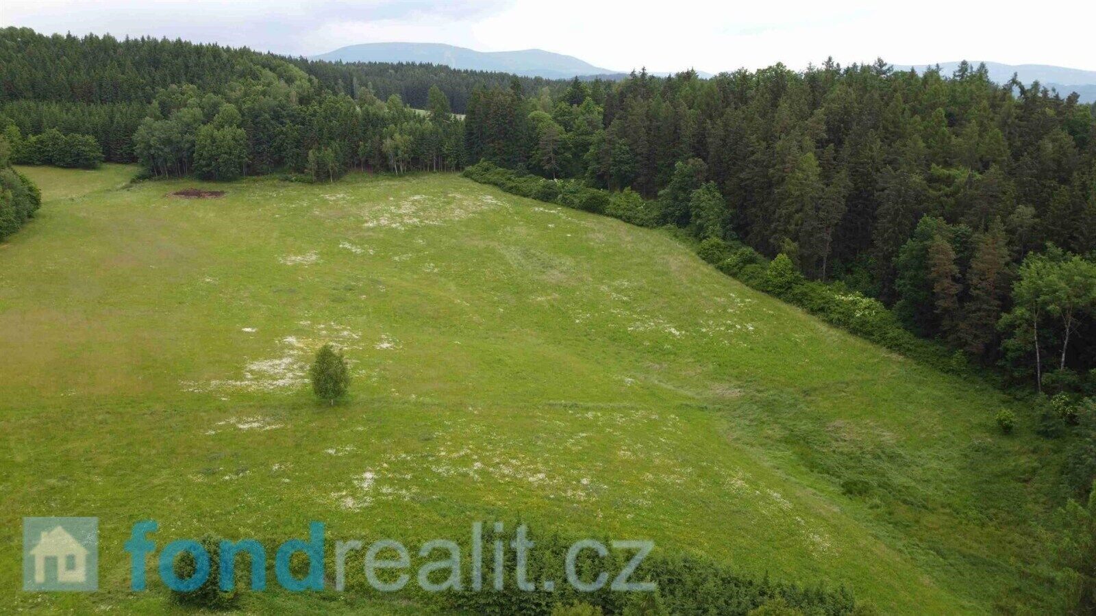 Zemědělský pozemek · 6 699 m² · Chotěvice - 3