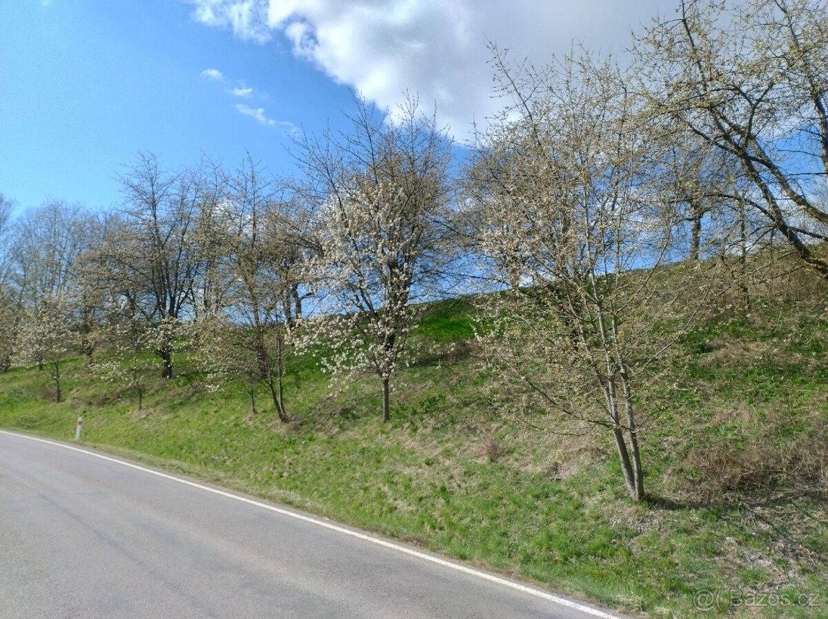 Pozemky pro bydlení, Rychnov nad Kněžnou, 516 01 - 1