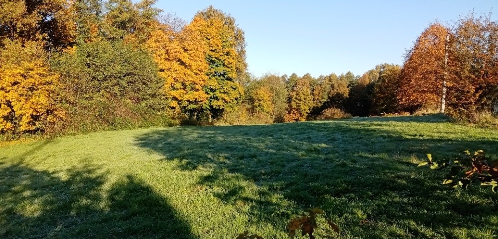 Prodej pozemek pro bydlení - Petřvald u Karviné, 735 41 - 5