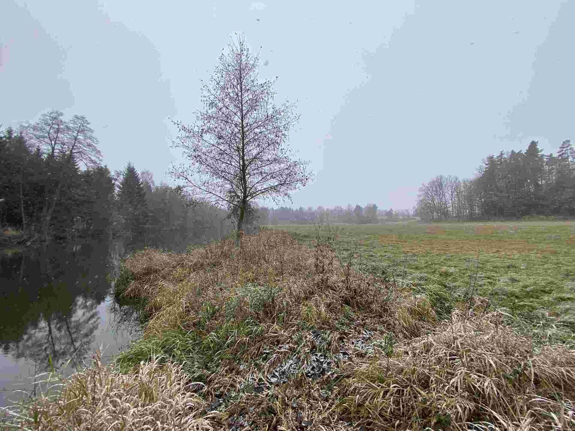 Prodej louka - Jindřichův Hradec Horní Žďár, 16 799 m² - 5