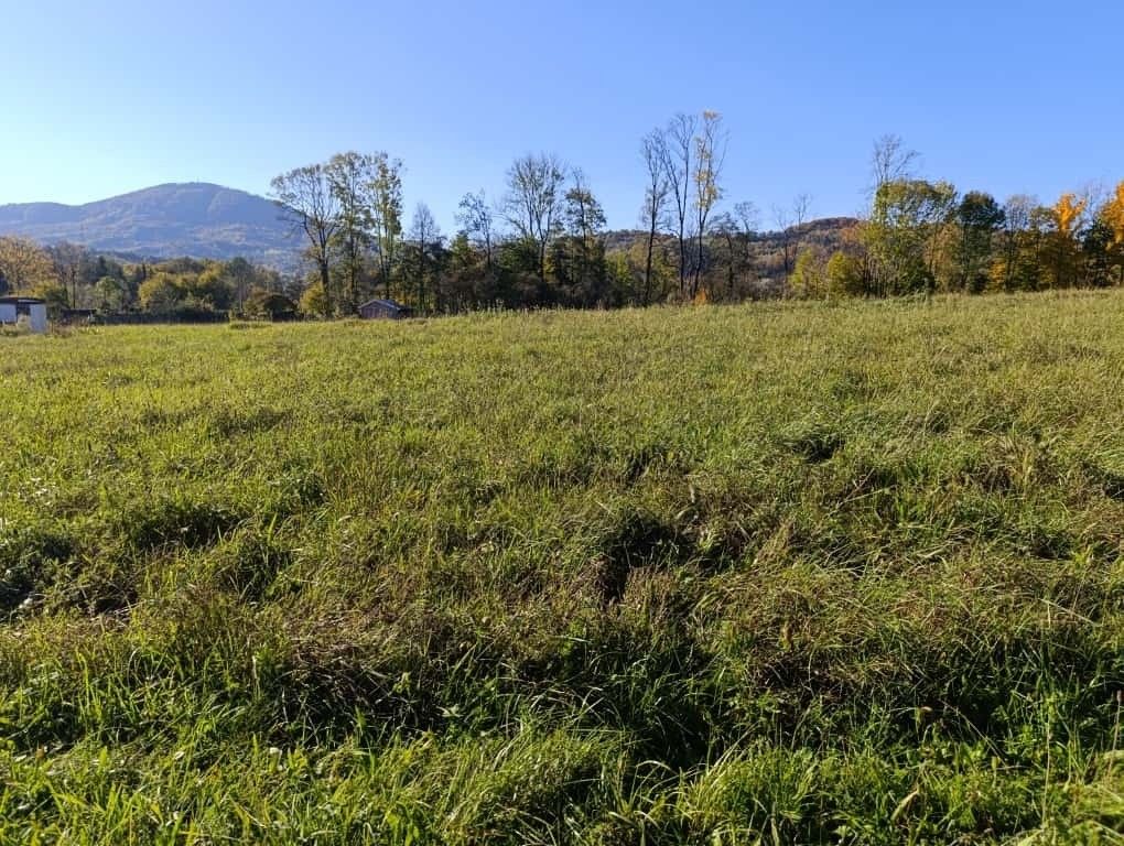 Prodej pozemek pro bydlení - Lichnov u Nového Jičína, 742 75