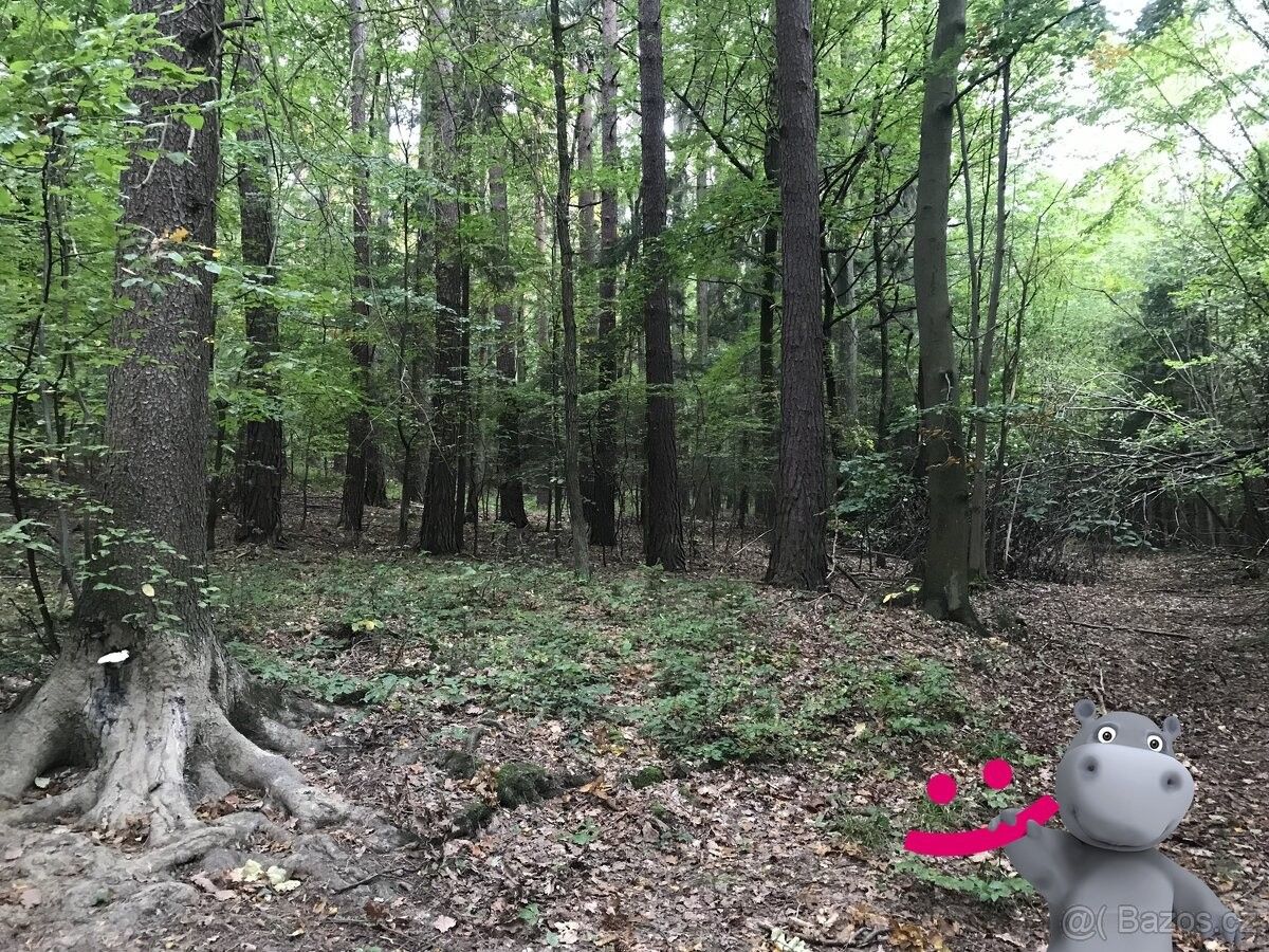 Pozemky pro bydlení, Trnava u Zlína, 763 18